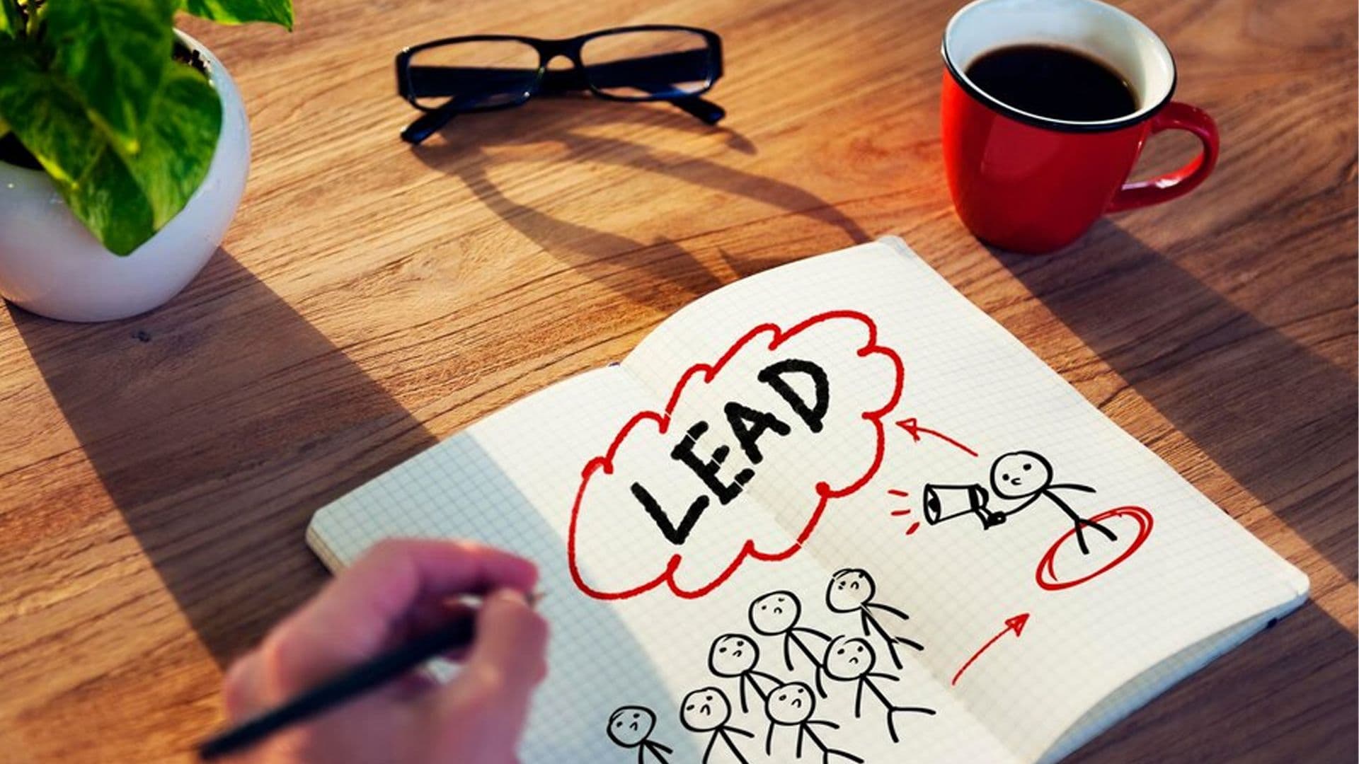 Lead Management System
